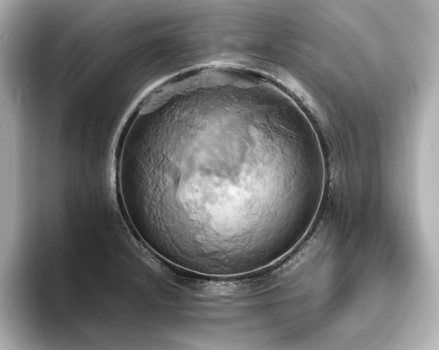X0000093611232200710151233