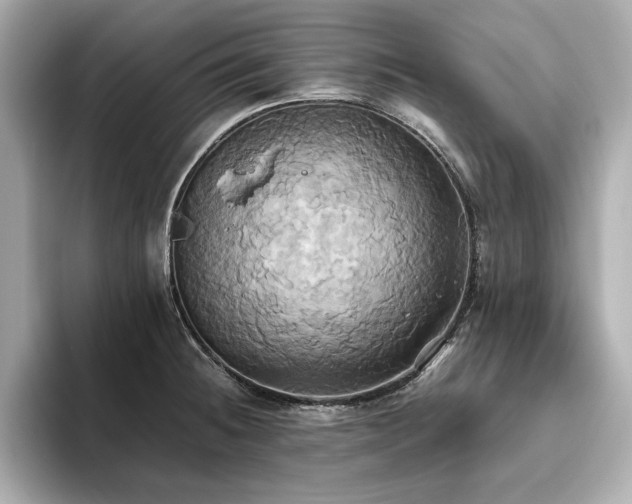 X0000093611236200710151233