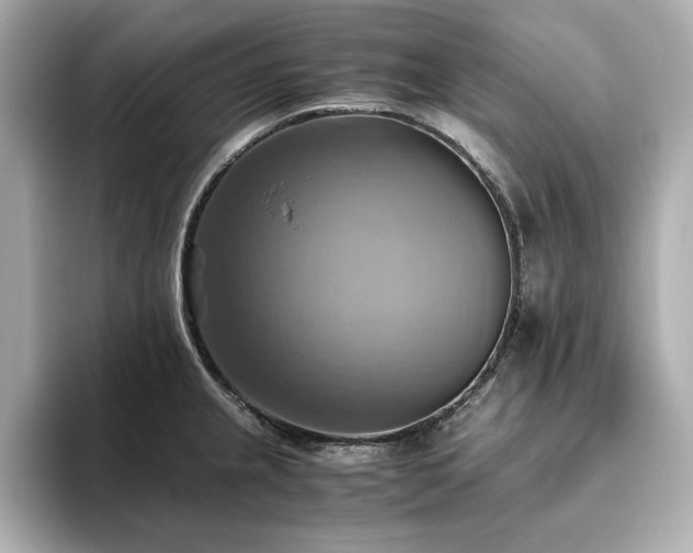 X0000093611237200710151233