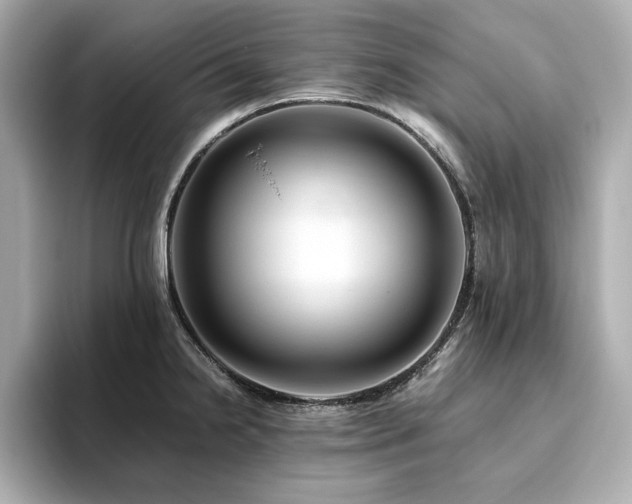 X0000093611238200710151233