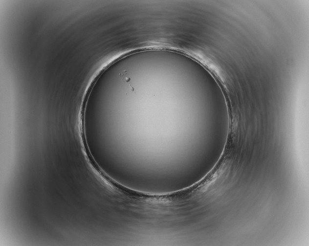 X0000093611239200710151233