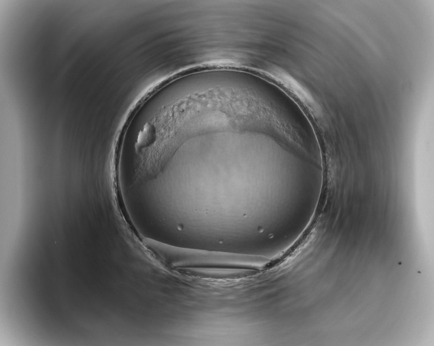 X0000093611240200710151233