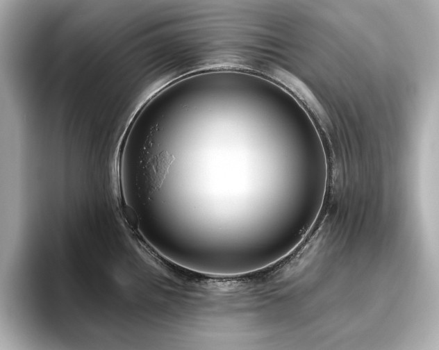X0000093611242200710151233