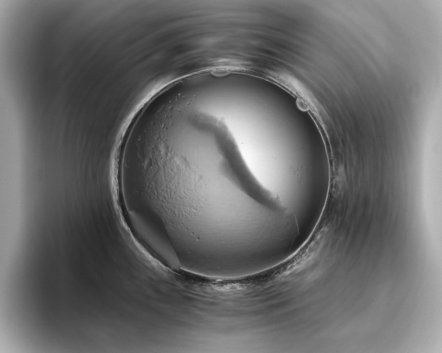 X0000093611243200710151233