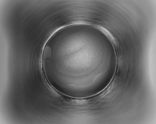 X0000093611244200710151233