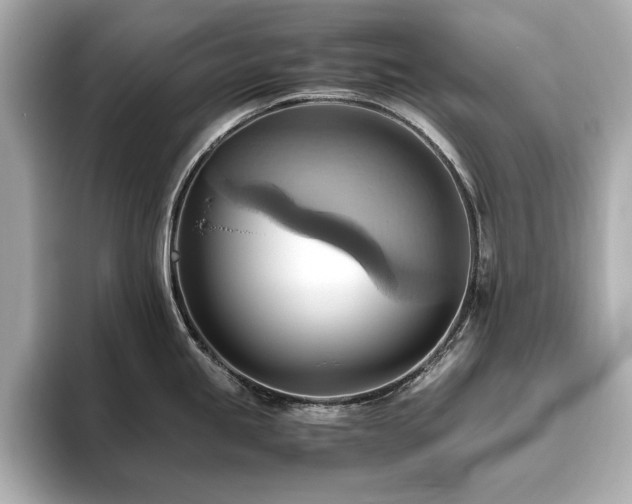 X0000093611245200710151233