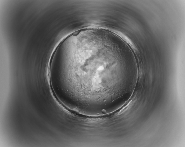 X0000093611247200710151233