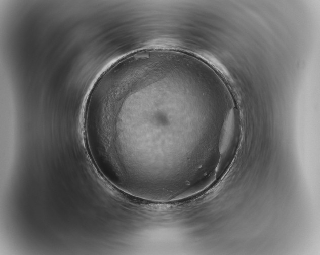 X0000093611248200710151233