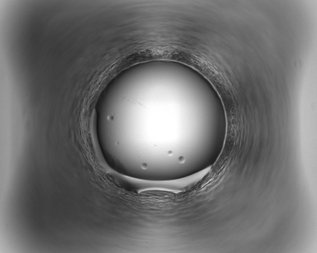 X0000093611249200710151233