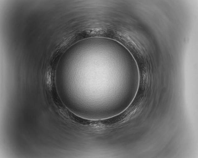 X0000093611250200710151233