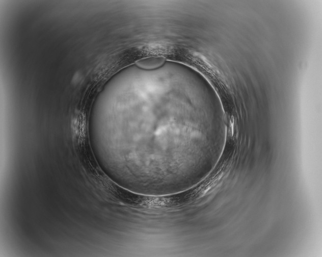 X0000093611251200710151233