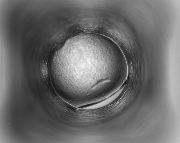 X0000093611252200710151233
