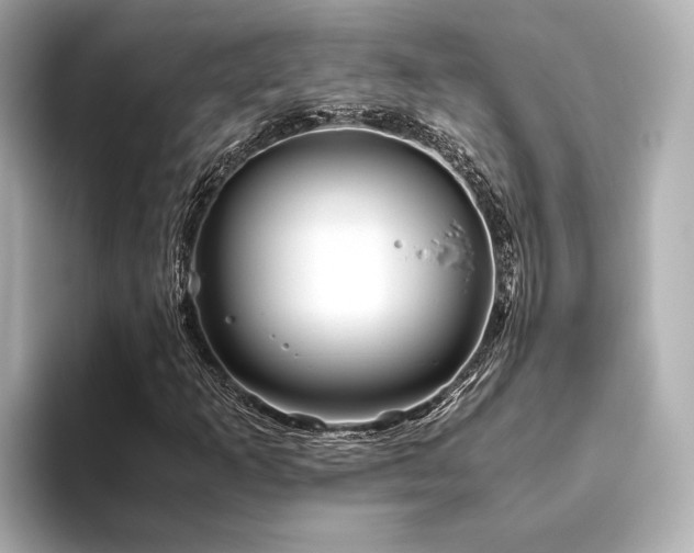 X0000093611253200710151233