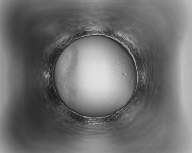X0000093611254200710151233