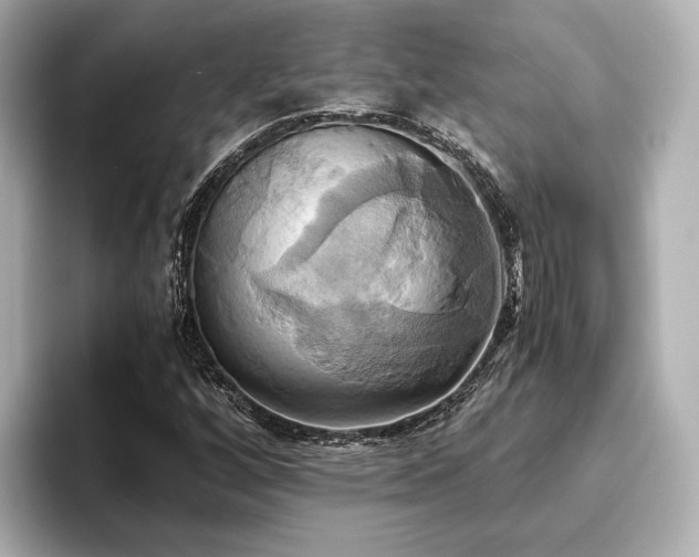 X0000093611256200710151233