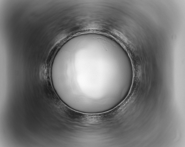 X0000093611258200710151233