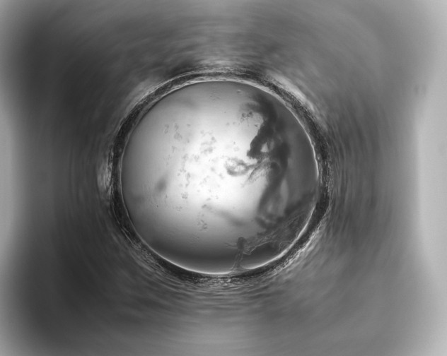 X0000093611259200710151233