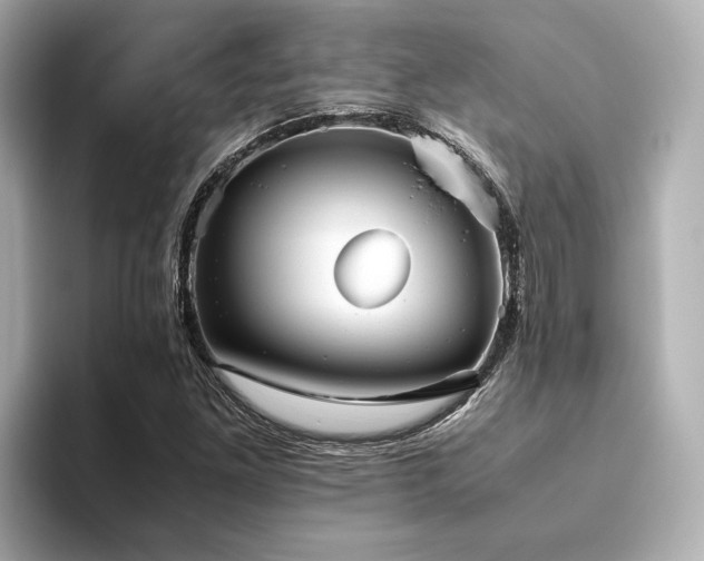 X0000093611261200710151233