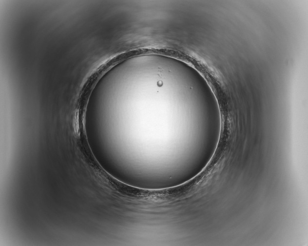 X0000093611262200710151233