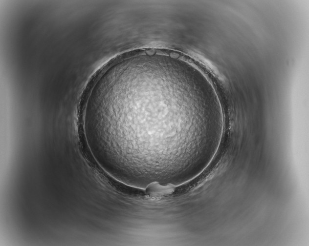 X0000093611264200710151233
