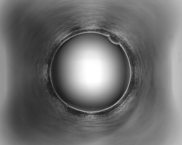 X0000093611265200710151233