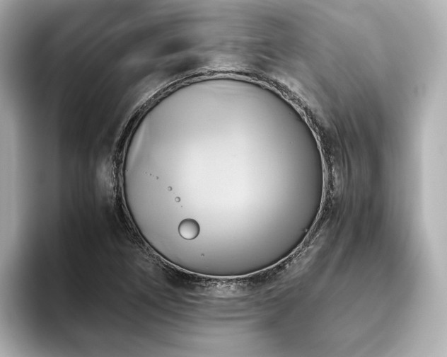 X0000093611266200710151232