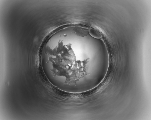 X0000093611267200710151232