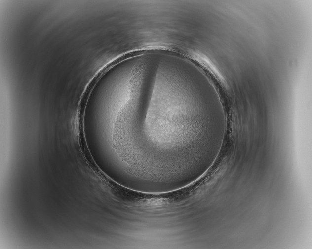 X0000093611268200710151232