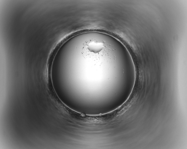 X0000093611270200710151232