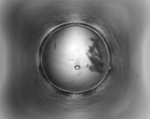 X0000093611271200710151232
