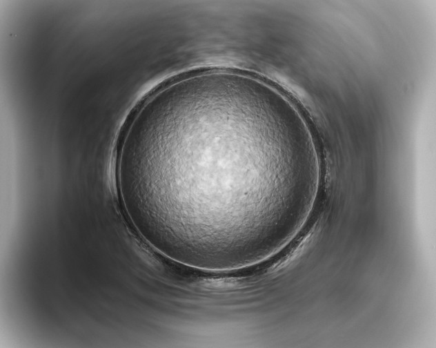 X0000093611272200710151232