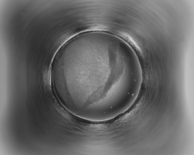 X0000093611276200710151232