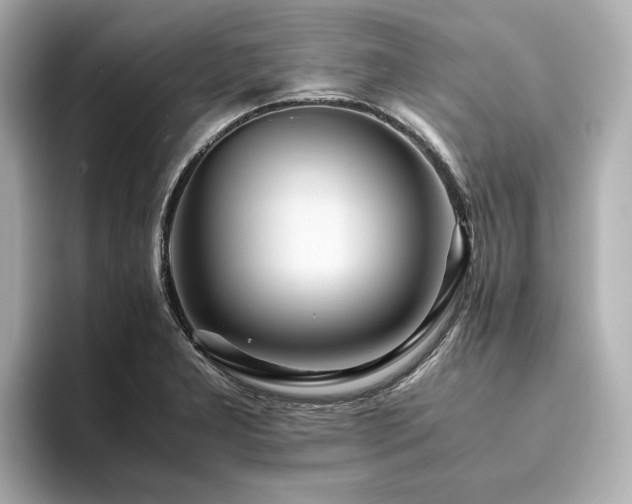 X0000093611277200710151232