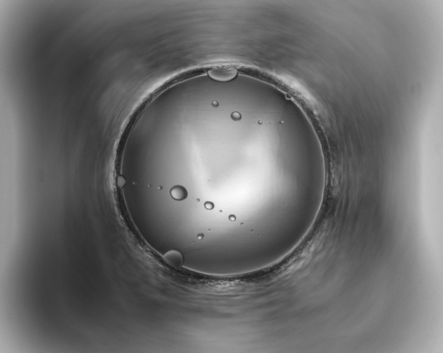 X0000093611279200710151232
