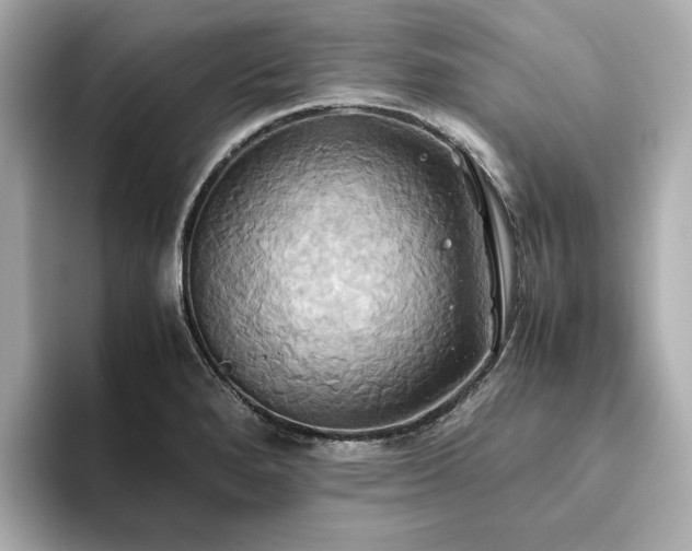 X0000093611280200710151232