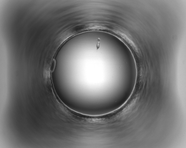 X0000093611281200710151232