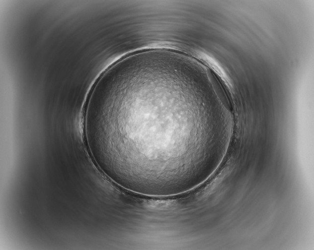 X0000093611284200710151232