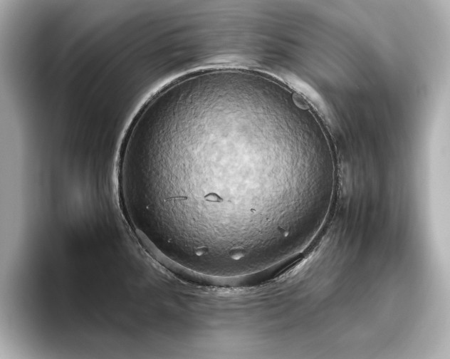 X0000093611288200710151232