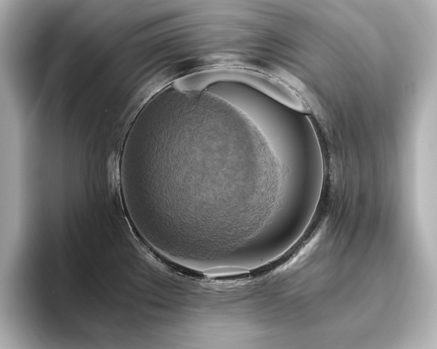 X0000093611289200710151232