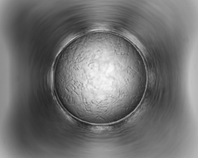 X0000093611290200710151232