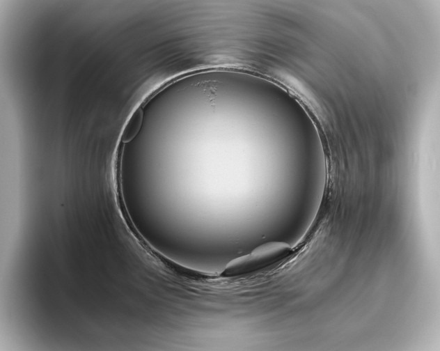 X0000093611291200710151232
