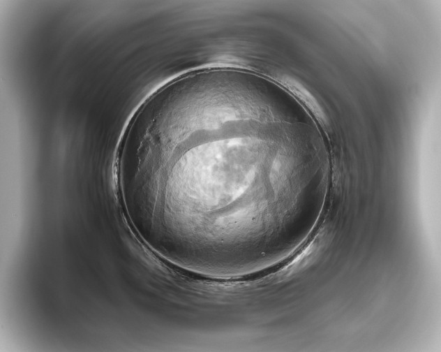 X0000093611292200710151232