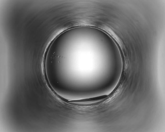 X0000093611293200710151232