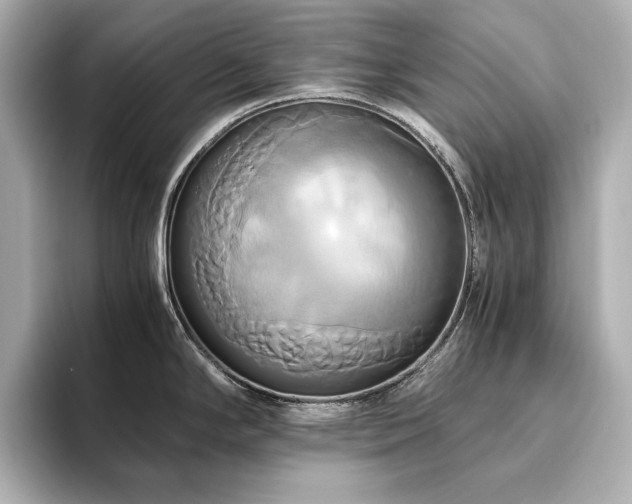 X0000093611294200710151232