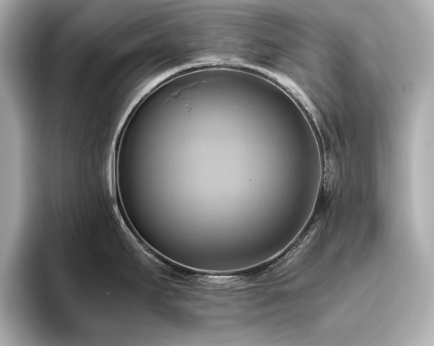 X0000093611295200710151232