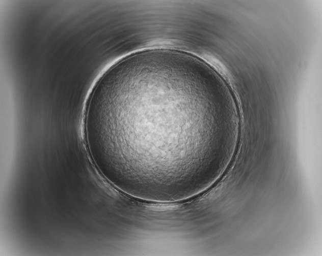 X0000093611296200710151232