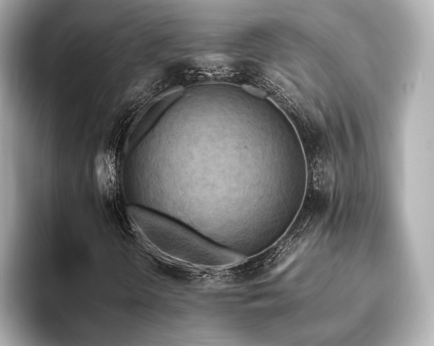 X0000093611298200710151232
