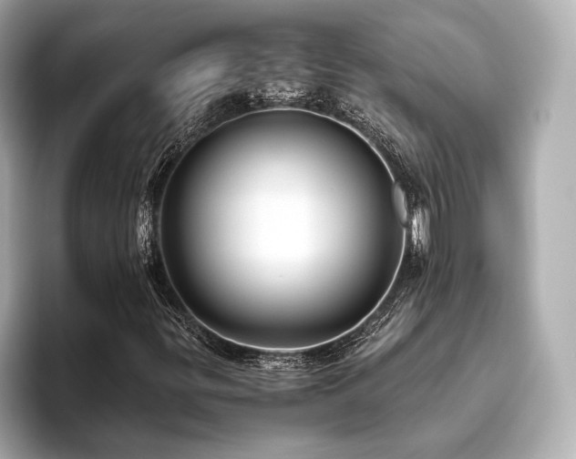 X0000093611299200710151232