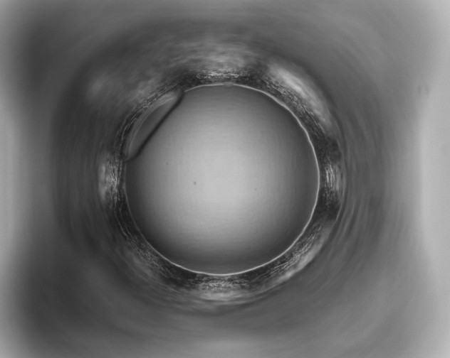 X0000093611300200710151232