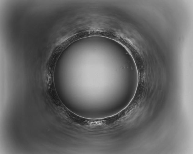 X0000093611303200710151232